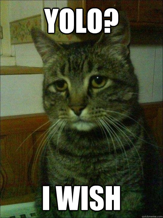yolo i wish - Depressed cat