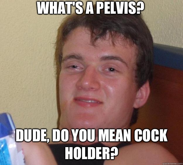 Whats a Pelvis Dude do you mean cock holder - 10 Guy