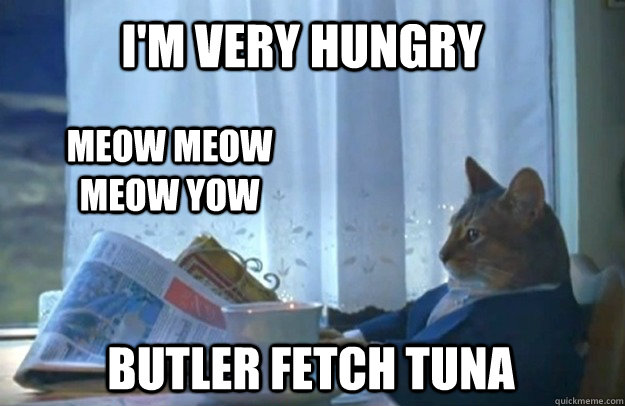 im very hungry meow meow meow yow butler fetch tuna - Sophisticated Cat