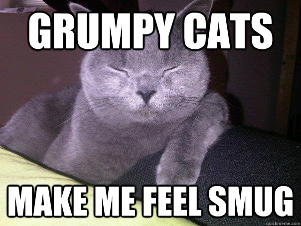 grumpy cats make me feel smug - Smug Cat.