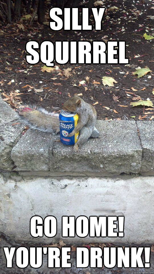 silly squirrel go home youre drunk - Silly Squirrel