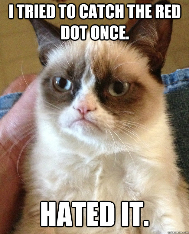 i tried to catch the red dot once hated it - Grumpy Cat