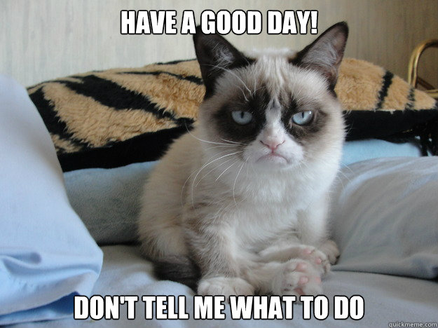 have a good day dont tell me what to do - Grumpy cat in the morning