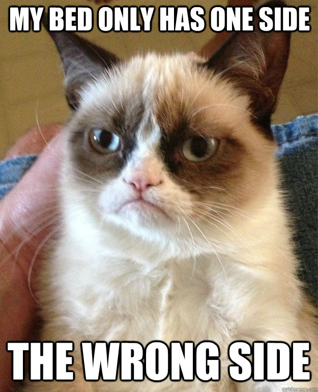 my bed only has one side the wrong side - Grumpy Cat