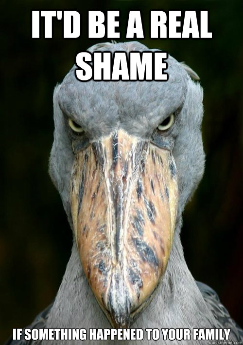 itd be a real shame if something happened to your family - Serious Shoebill Stork
