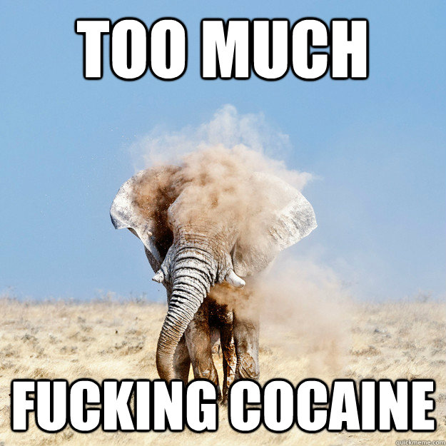 too much fucking cocaine -