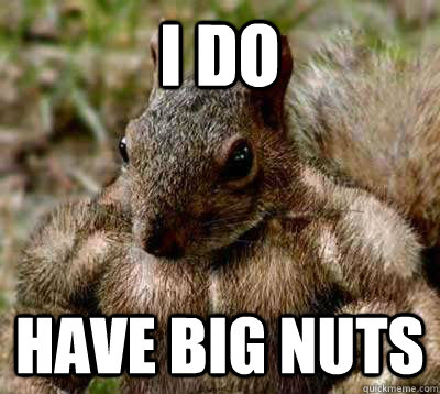 i do have big nuts - Muscle Squirrel