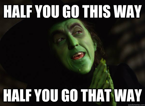half you go this way half you go that way - Wild West Witch