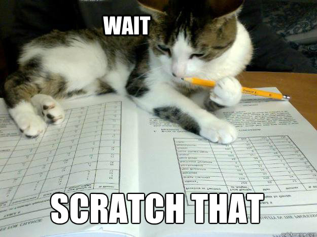 wait scratch that - Study Cat