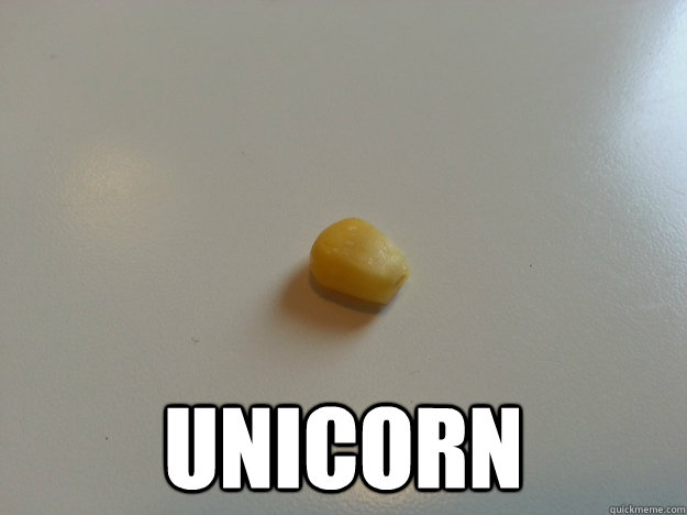 unicorn - Unicorn