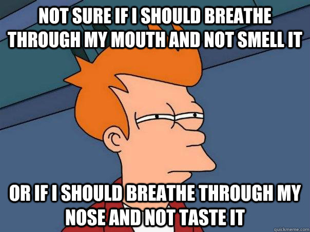 not sure if i should breathe through my mouth and not smell - Futurama Fry