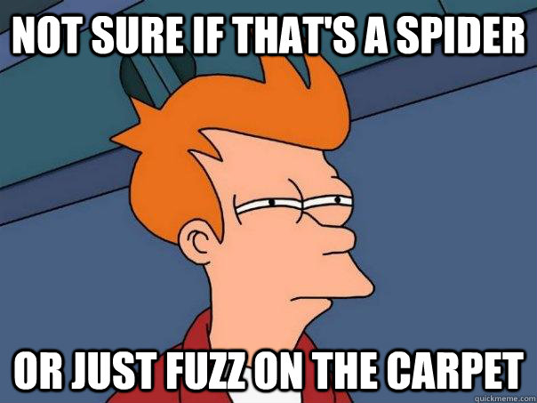 not sure if thats a spider or just fuzz on the carpet - Futurama Fry