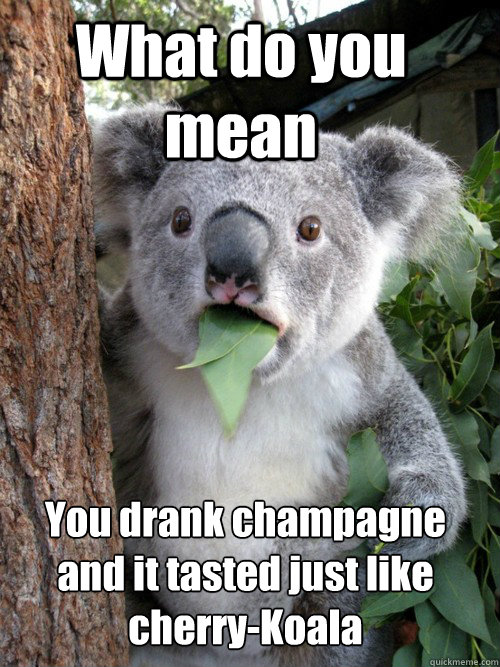 what do you mean you drank champagne and it tasted just like - astonished koala