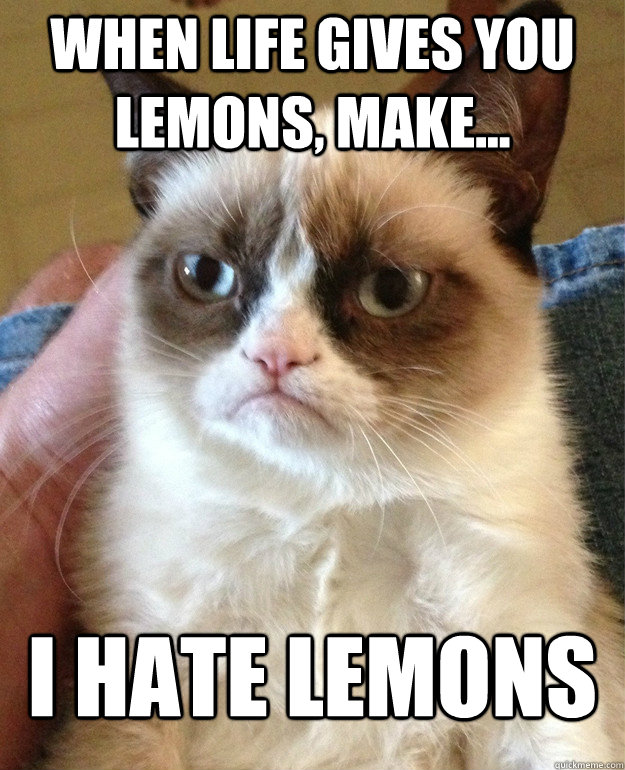 when life gives you lemons make i hate lemons - Tard cat shabbos