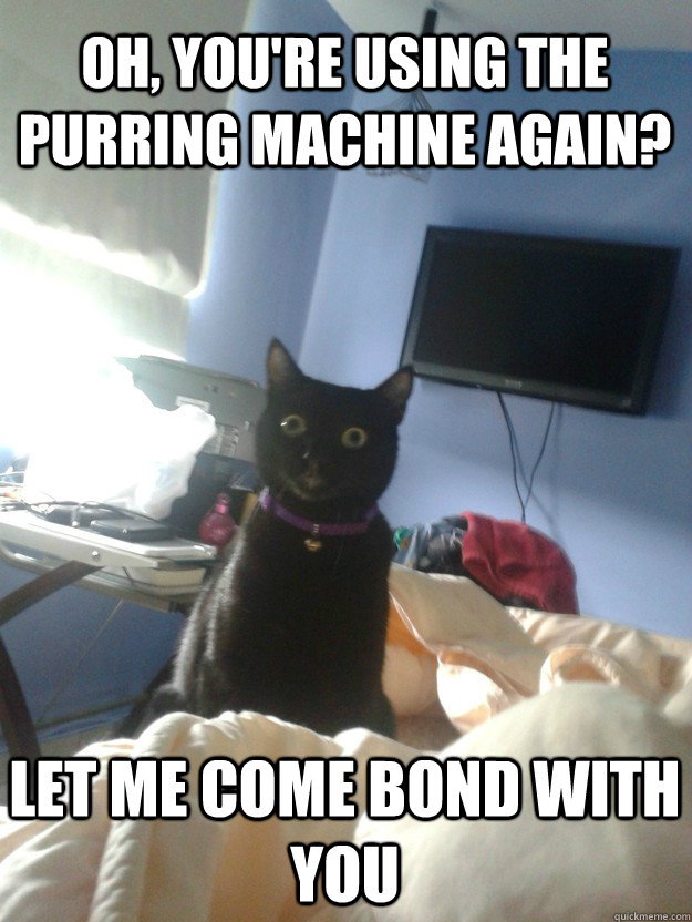 oh youre using the purring machine again let me come bond - overly attached cat