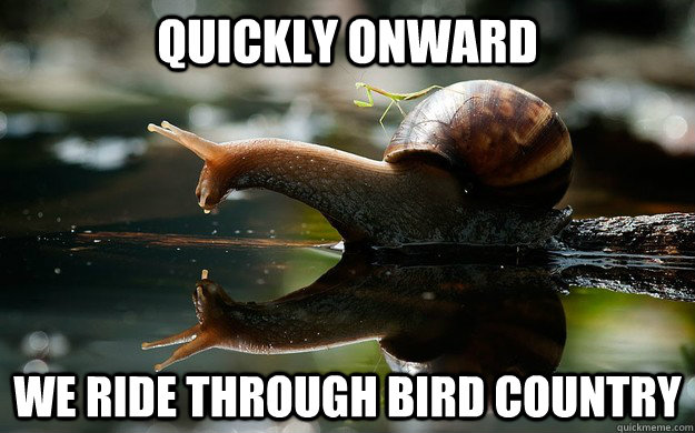 quickly onward we ride through bird country - Snailback Mantis