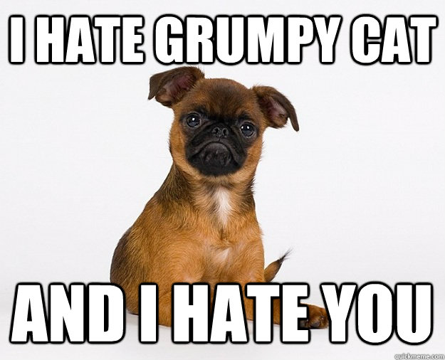 i hate grumpy cat and i hate you - grumpy dog