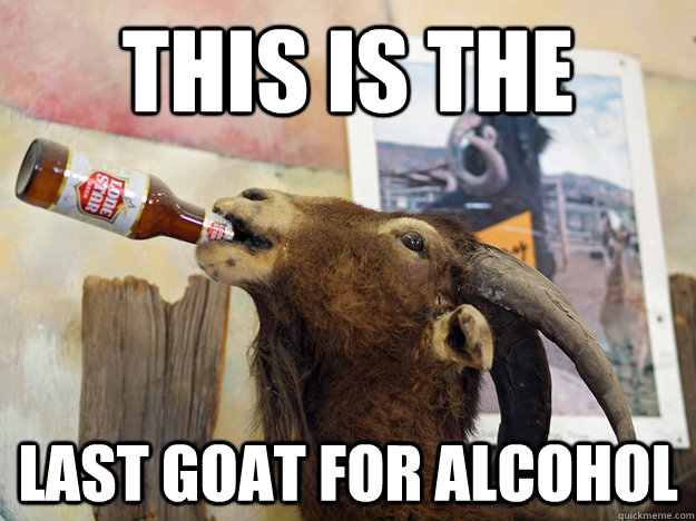 this is the last goat for alcohol - goat