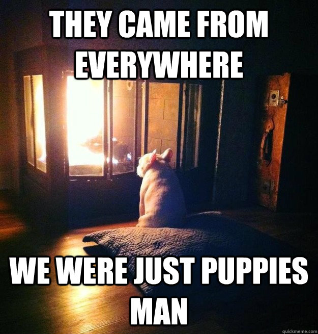 they came from everywhere we were just puppies man - Reflecting Bruce