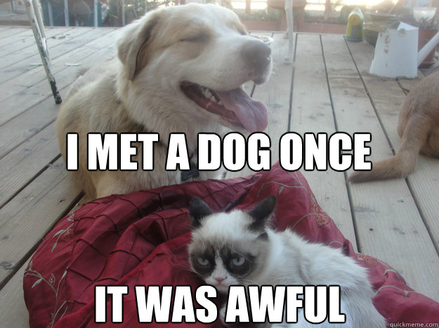 i met a dog once it was awful -