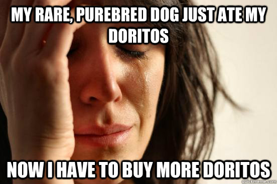 my rare purebred dog just ate my doritos now i have to buy - First World Problems