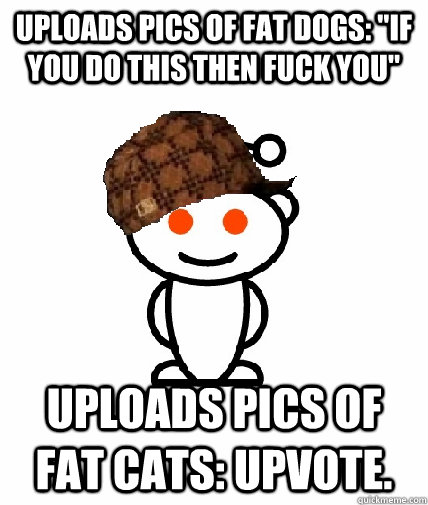 uploads pics of fat dogs if you do this then fuck you upl - Scumbag Reddit