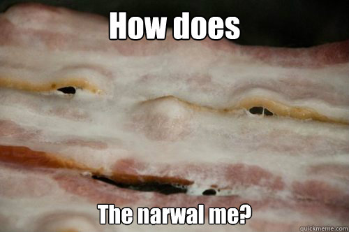 how does the narwal me - 10 Bacon