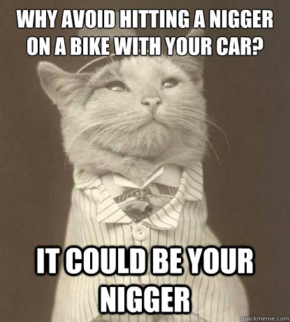 why avoid hitting a nigger on a bike with your car it could - Aristocat