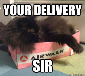 your delivery sir - Your delivery sir