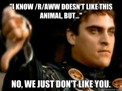 i know raww doesnt like this animal but no we just - Downvoting Roman
