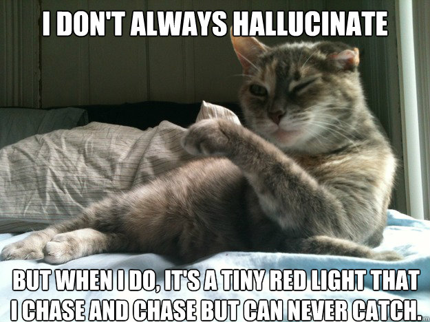 i dont always hallucinate but when i do its a tiny red li - Most interesting cat in the world