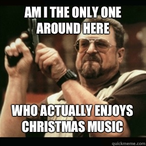 Am i the only one around here Who actually enjoys Christmas - AM I THE ONLY ONE AROUND HERE