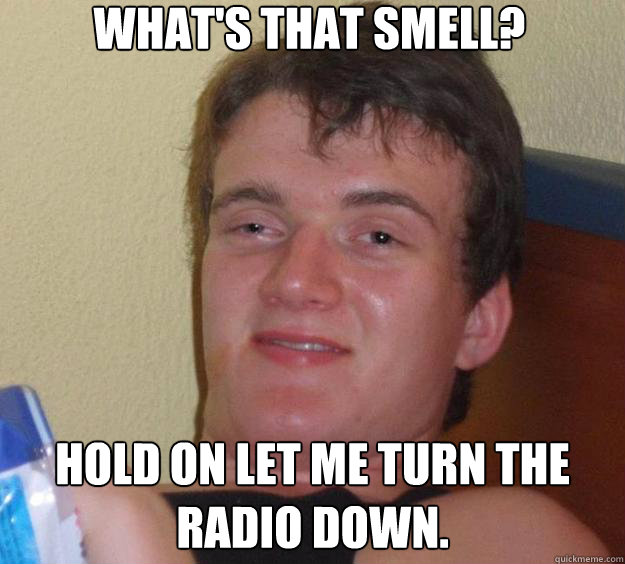 whats that smell hold on let me turn the radio down - 10 Guy