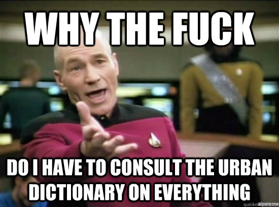 why the fuck do i have to consult the urban dictionary on ev - Annoyed Picard HD