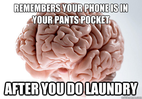 remembers your phone is in your pants pocket after you do la - Scumbag Brain