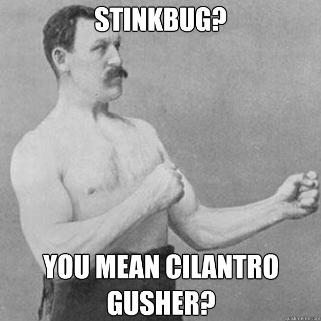 stinkbug you mean cilantro gusher - overly manly man