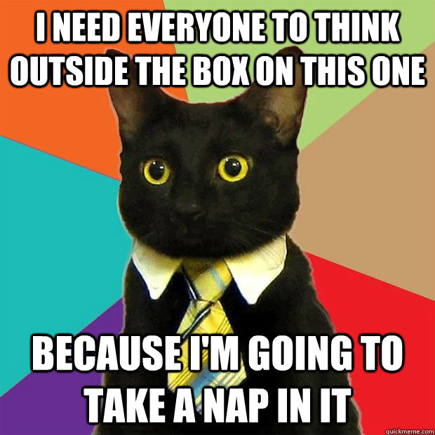 i need everyone to think outside the box on this one because - business cat