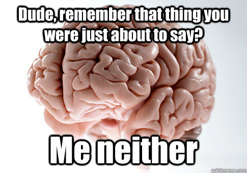 dude remember that thing you were just about to say me nei - Scumbag Brain