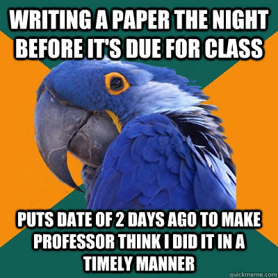 writing a paper the night before its due for class puts dat - Paranoid Parrot