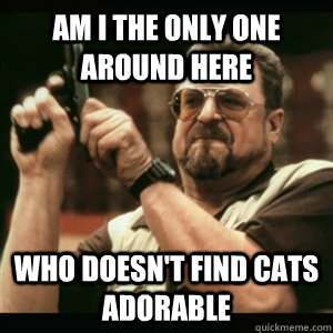 am i the only one around here who doesnt find cats adorable - Am I The Only One Round Here
