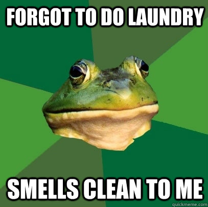 forgot to do laundry smells clean to me - Foul Bachelor Frog