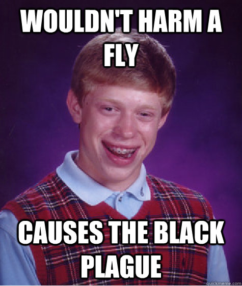 wouldnt harm a fly causes the black plague - Bad Luck Brian
