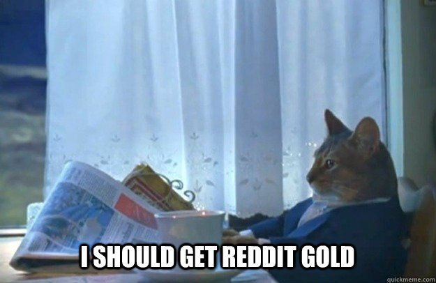 i should get reddit gold - Sophisticated Cat