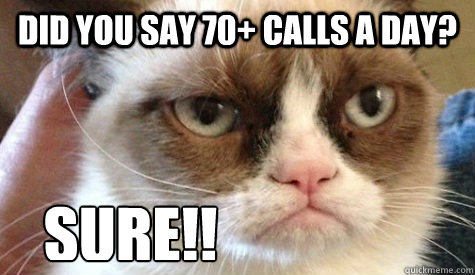 did you say 70 calls a day sure - Grumpy cat