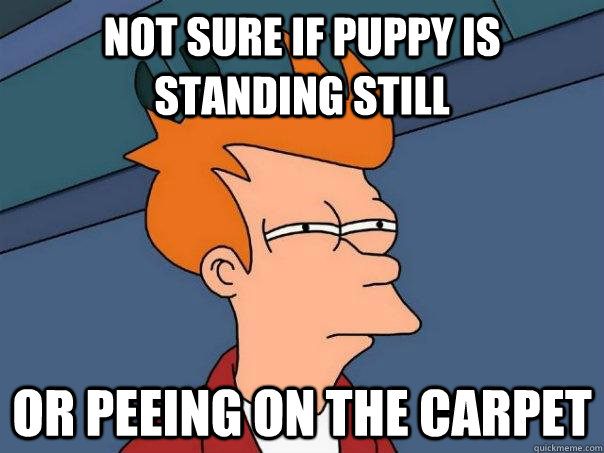 not sure if puppy is standing still or peeing on the carpet - Futurama Fry