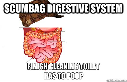 scumbag digestive system finish cleaning toilet has to poop - Scumbag Digestive System
