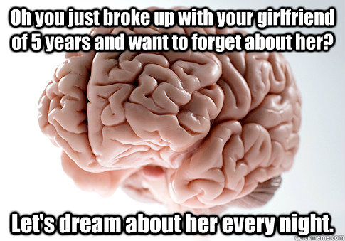 oh you just broke up with your girlfriend of 5 years and wa - Scumbag Brain