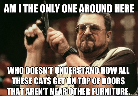 am i the only one around here who doesnt understand how all - Am I the only one