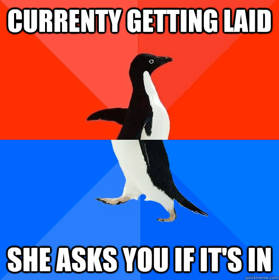 currenty getting laid she asks you if its in - Socially Awesome Awkward Penguin