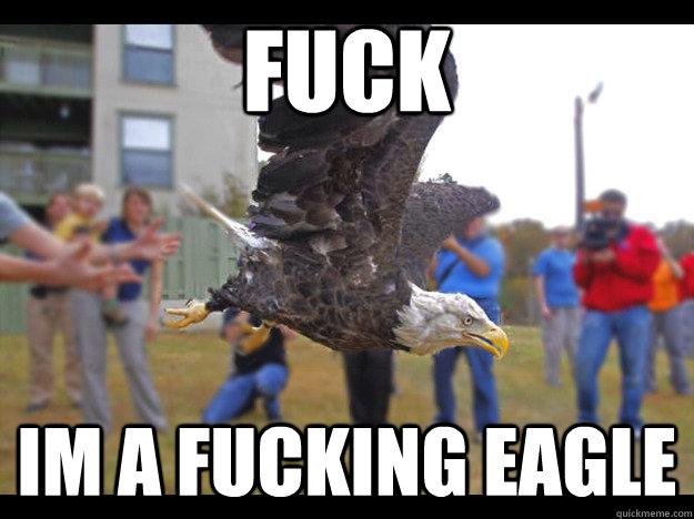 fuck im a fucking eagle - Epiphany Eagle
